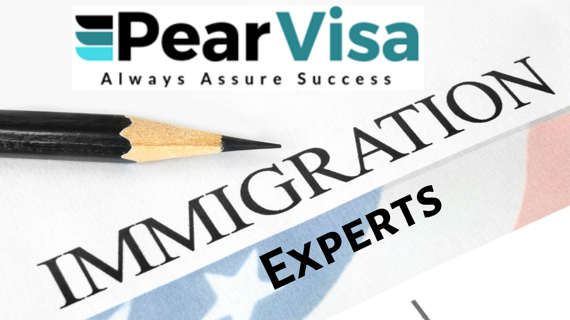 Immigration experts