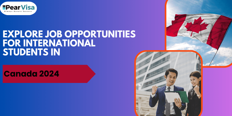 https://pearvisa.com/wp-content/uploads/2024/04/Explore-Job-Opportunities-for-International-Students-in.png